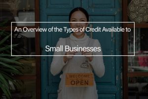 Read more about the article An Overview of the Types of Credit Available to Small Businesses